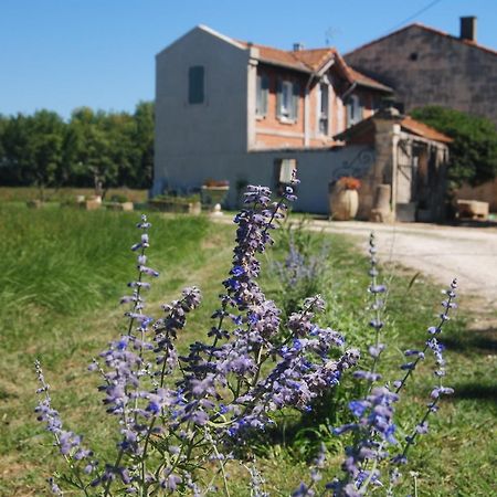 Le Mas Marguerite Arles Dış mekan fotoğraf