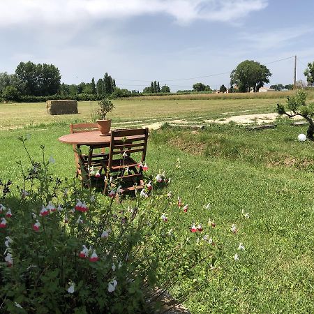 Le Mas Marguerite Arles Dış mekan fotoğraf