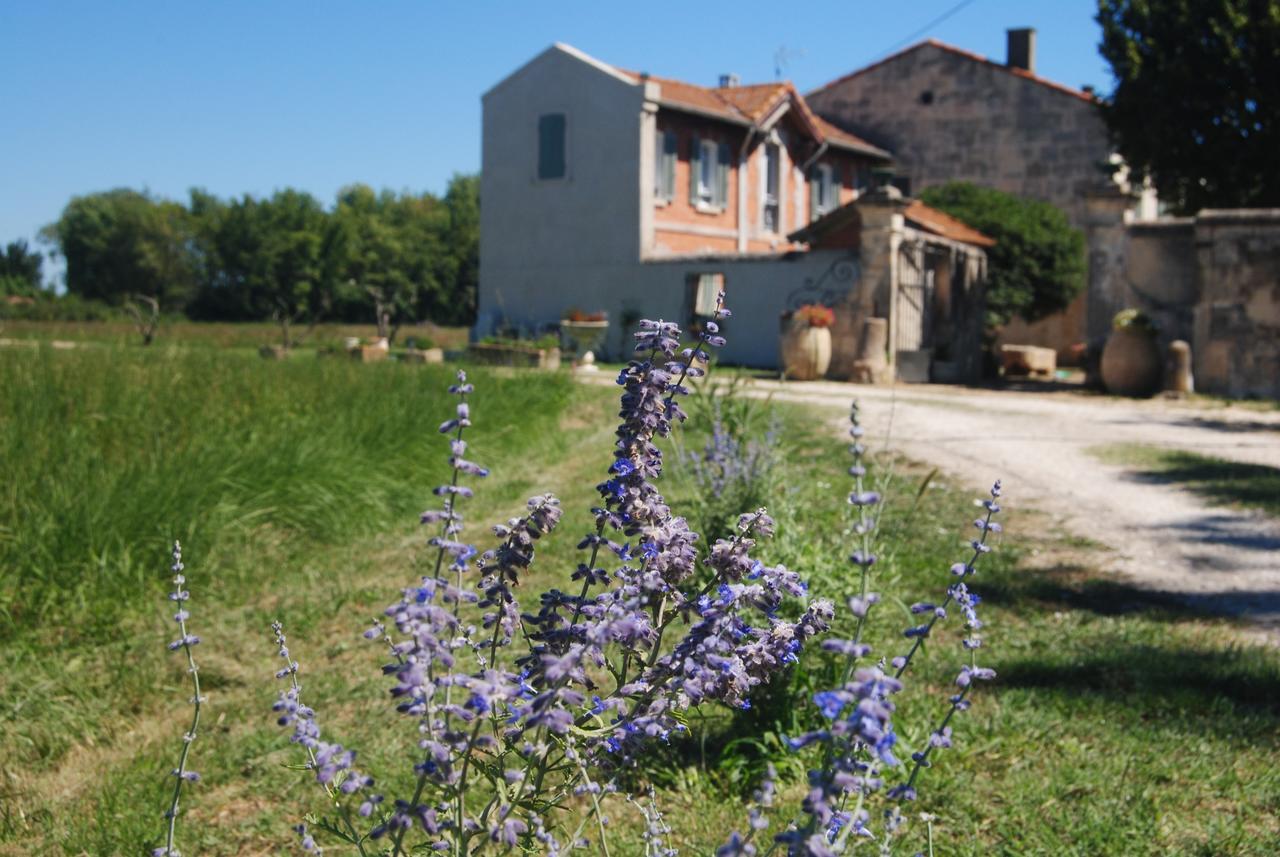 Le Mas Marguerite Arles Dış mekan fotoğraf
